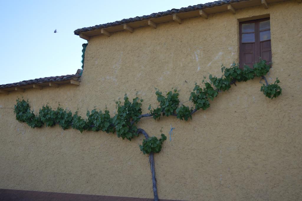 Maison d'hôtes Casa Rural Los Llaganos à Villaturiel Extérieur photo